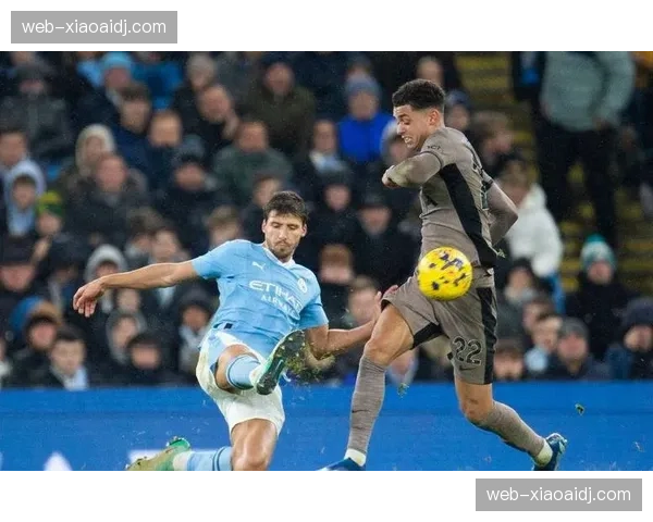 本赛季英超联赛整体竞争强度提升 冷门赛果频现成为常态